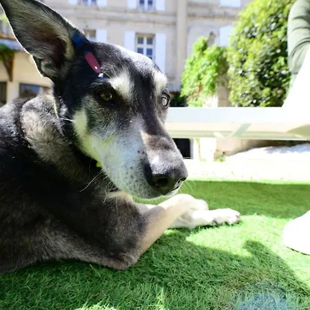 Guest house Le Twelve